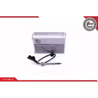 Capteur, température des gaz ESEN SKV 30SKV352