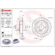 Jeu de 2 disques de frein arrière BREMBO 08.9163.2X - Visuel 2