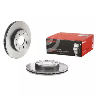 Jeu de 2 disques de frein avant BREMBO 09.3090.11