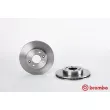 Jeu de 2 disques de frein avant BREMBO 09.4925.20 - Visuel 1