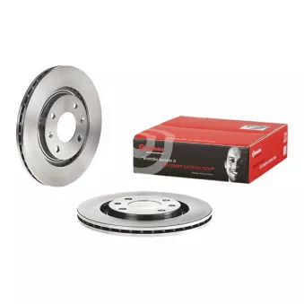 Jeu de 2 disques de frein avant BREMBO 09.4987.24