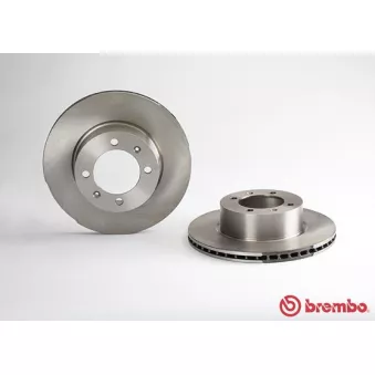Jeu de 2 disques de frein avant BREMBO 09.5034.20