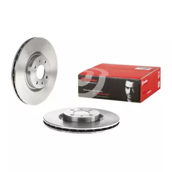 Jeu de 2 disques de frein avant BREMBO 09.5058.14