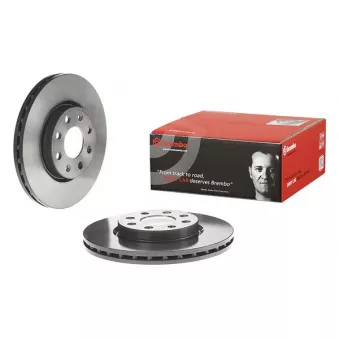 Jeu de 2 disques de frein avant BREMBO 09.5843.31