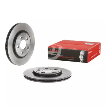 Jeu de 2 disques de frein arrière BREMBO 09.7911.21