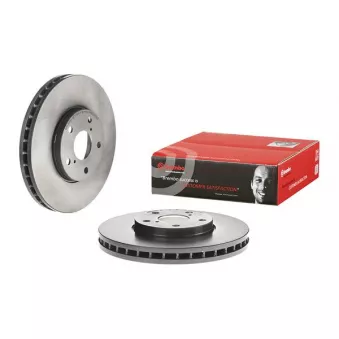 Jeu de 2 disques de frein avant BREMBO 09.7931.11