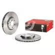 Jeu de 2 disques de frein avant BREMBO 09.8003.10 - Visuel 1