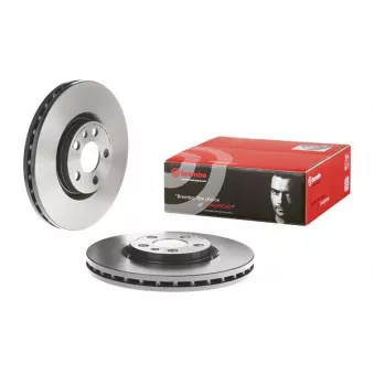 Jeu de 2 disques de frein avant BREMBO 09.8003.11