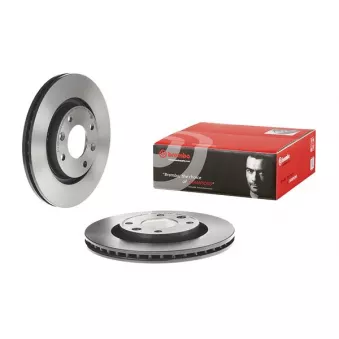 Jeu de 2 disques de frein avant BREMBO 09.8695.11