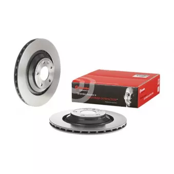 Jeu de 2 disques de frein arrière BREMBO 09.8842.21