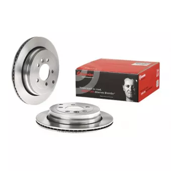 Jeu de 2 disques de frein arrière BREMBO 09.8874.30