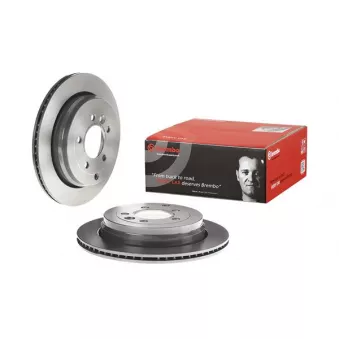 Jeu de 2 disques de frein arrière BREMBO 09.8874.31