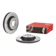 Jeu de 2 disques de frein avant BREMBO 09.8875.31 - Visuel 1