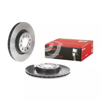 Jeu de 2 disques de frein arrière BREMBO 09.9366.21