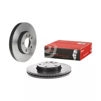 Jeu de 2 disques de frein avant BREMBO 09.9442.11