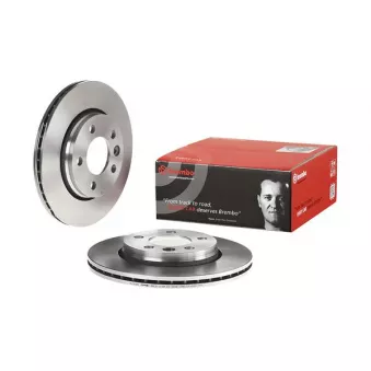 Jeu de 2 disques de frein arrière BREMBO 09.9582.10