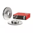 Jeu de 2 disques de frein avant BREMBO 09.9762.10 - Visuel 1