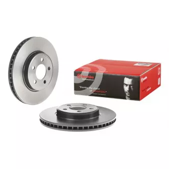 Jeu de 2 disques de frein avant BREMBO 09.A402.11