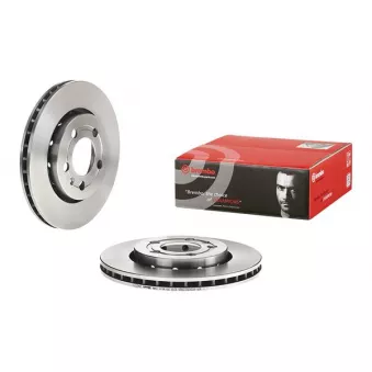 Jeu de 2 disques de frein arrière BREMBO 09.A652.10