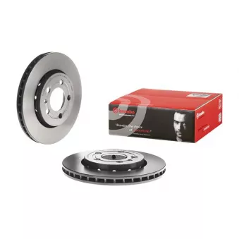 Jeu de 2 disques de frein arrière BREMBO 09.A652.11