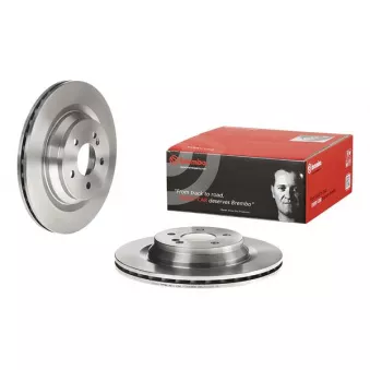 Jeu de 2 disques de frein arrière BREMBO 09.A818.10