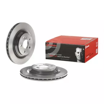 Jeu de 2 disques de frein arrière BREMBO 09.A818.11