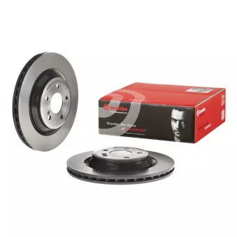 Jeu de 2 disques de frein arrière BREMBO 09.B743.41