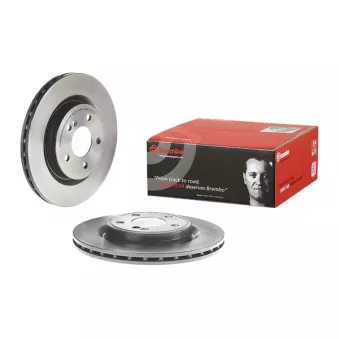 Jeu de 2 disques de frein arrière BREMBO 09.C219.41