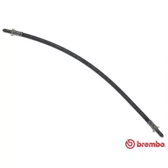 Flexible de frein BREMBO T 44 007