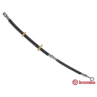 Flexible de frein BREMBO T 44 031