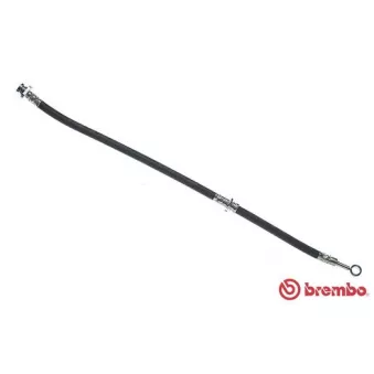 Flexible de frein BREMBO