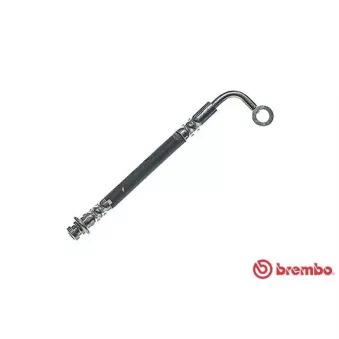 Flexible de frein BREMBO T 56 121