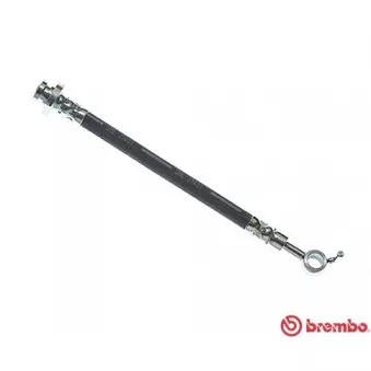 Flexible de frein BREMBO T 56 164