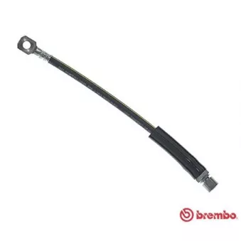 Flexible de frein BREMBO T 59 001