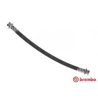 Flexible de frein BREMBO T 79 031