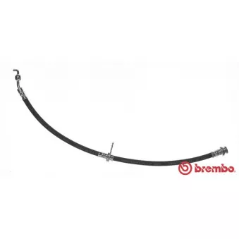 Flexible de frein BREMBO T 79 036