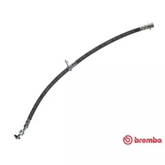 Flexible de frein BREMBO T 83 019