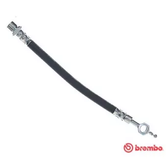 Flexible de frein BREMBO T 83 117