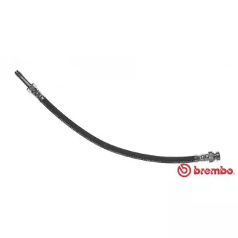 Flexible de frein BREMBO T 85 089