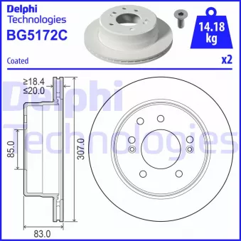 Jeu de 2 disques de frein arrière DELPHI BG5172C