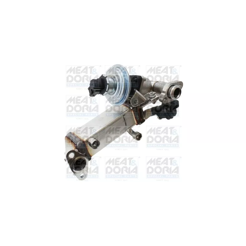 Module-EGR MEAT & DORIA 88772