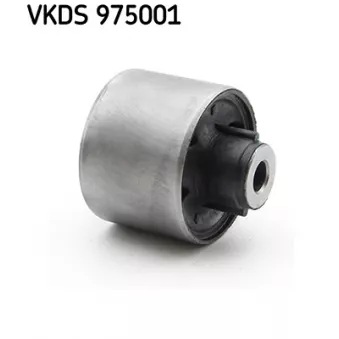 Corps d'essieu SKF VKDS 975001