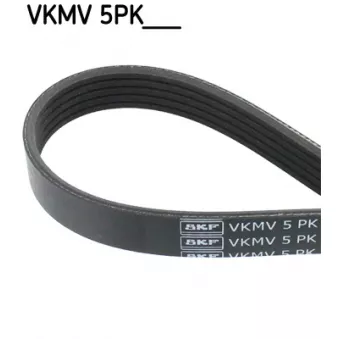 Courroie trapézoïdale à nervures SKF VKMV 5PK1207