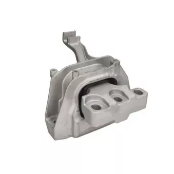 Support moteur REINHOCH RH11-0177