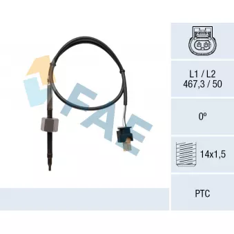 Capteur, température des gaz FAE 68071