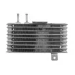 Radiateur d'huile de boîte automatique TEKNÖR CCL-MS-001 - Visuel 3