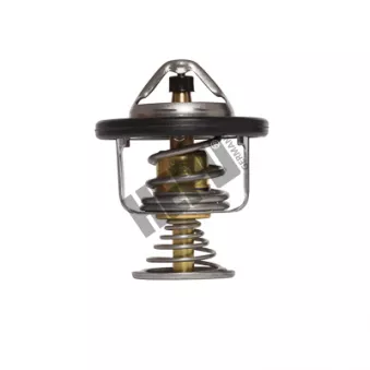 Thermostat, liqiuide de refroidissement HEPU TM1287