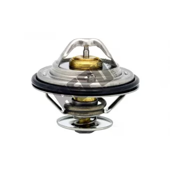 Thermostat, liqiuide de refroidissement HEPU TM1312