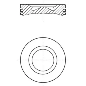 Piston MAHLE 007 PI 00102 001