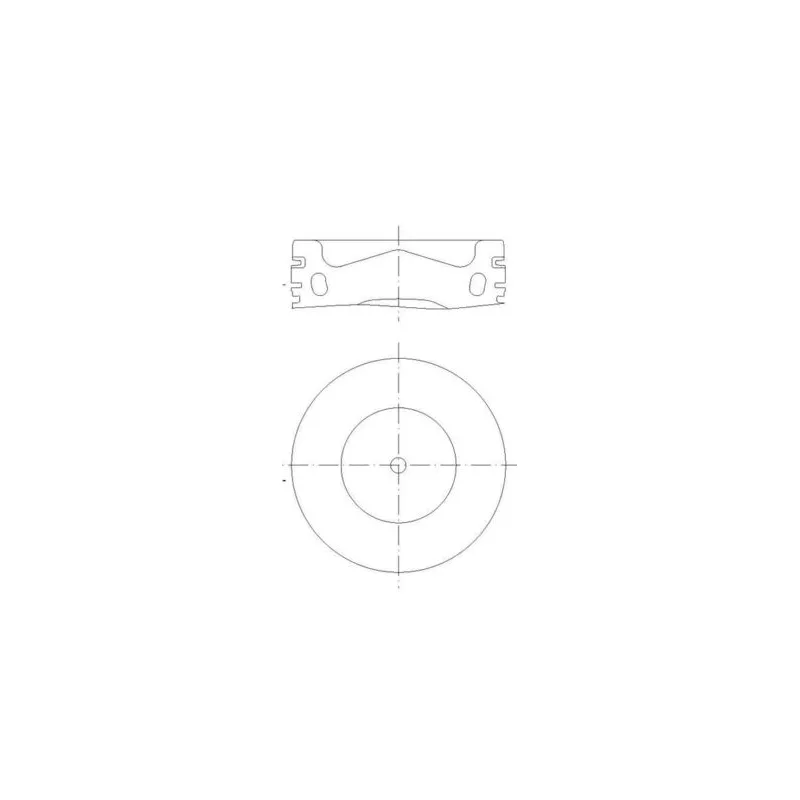 Piston MAHLE 028 PI 00158 000